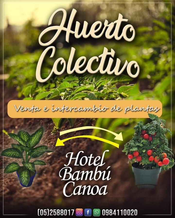 Hotel Bambu Каноа Екстериор снимка